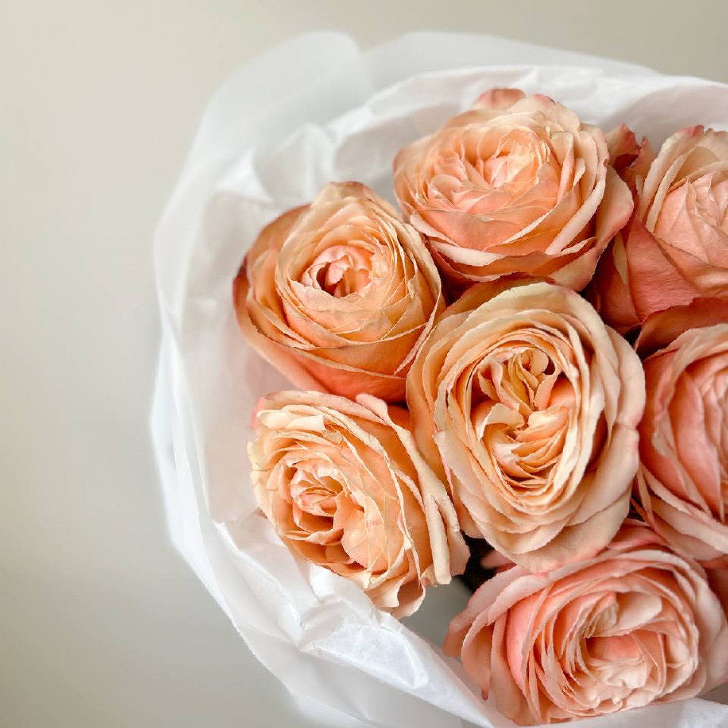 Монобукет из 9 пионовидных роз Кахала