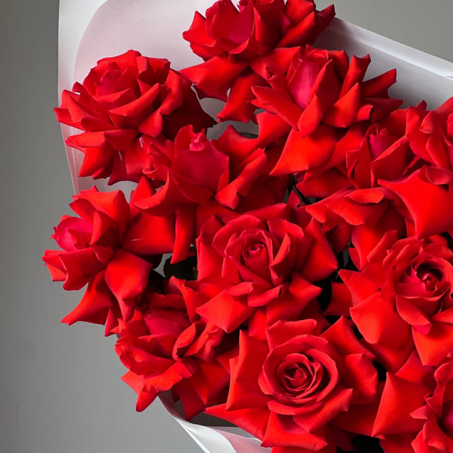 Монобукет из 15 красных Французских вывернутых роз Нина