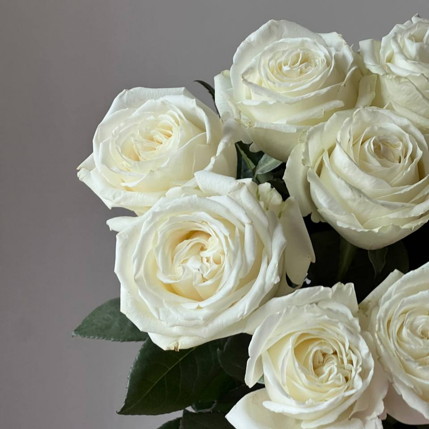 Монобукет из 9 пионовидных белых роз Плайя Бланка