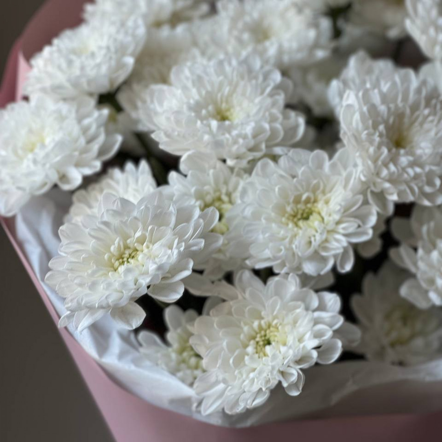 Монобукет из кустовой хризантемы Алтай