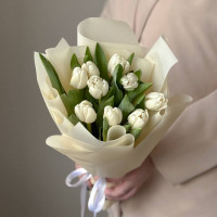 Монобукет из белых тюльпанов 223