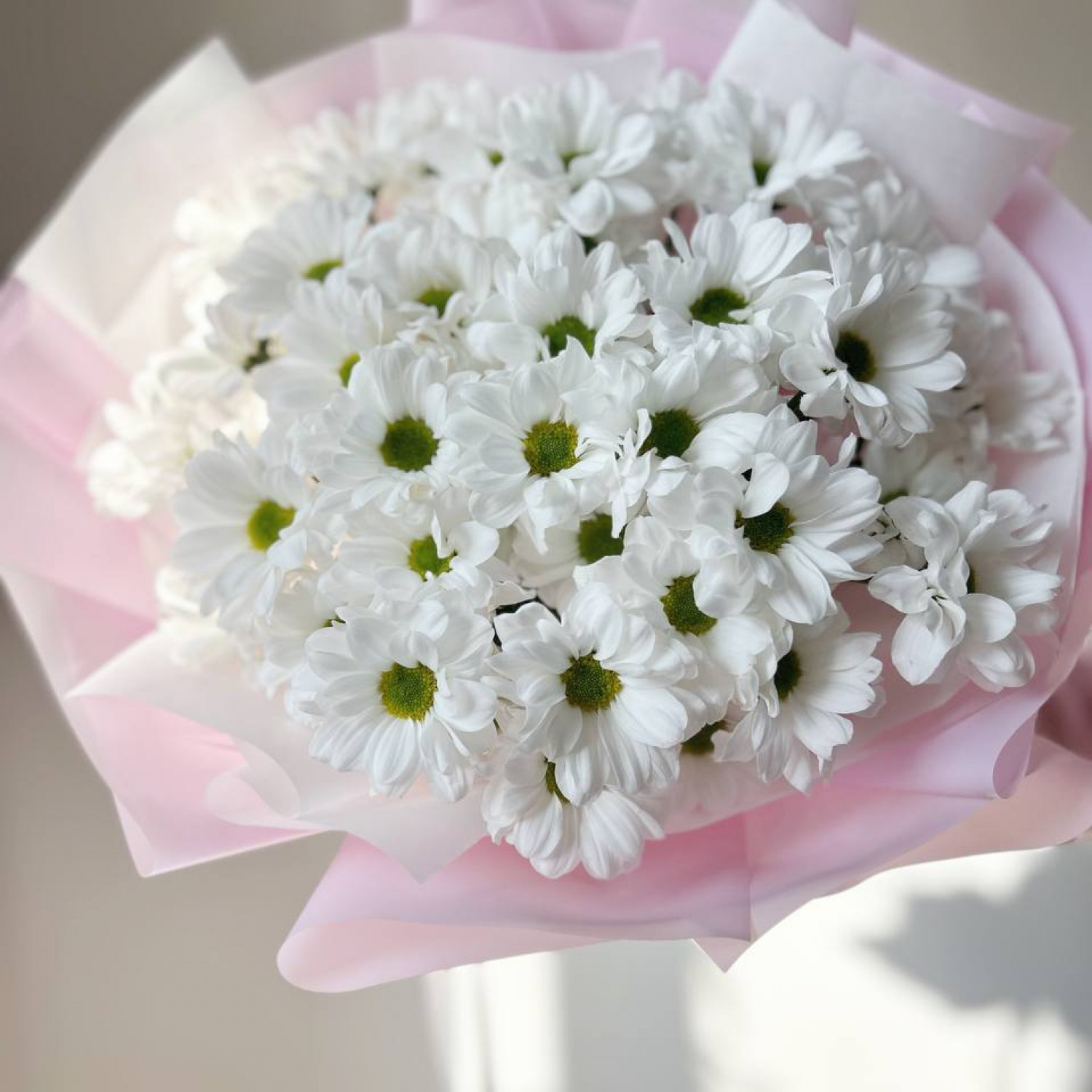 Монобукет из 5 кустовых ромашковых хризантем