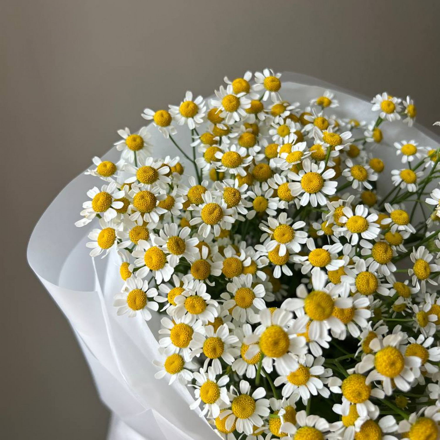 Монобукет из 15 кустовых ромашек №107