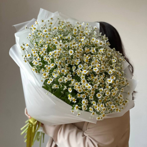 Монобукет из 19 кустовых ромашек