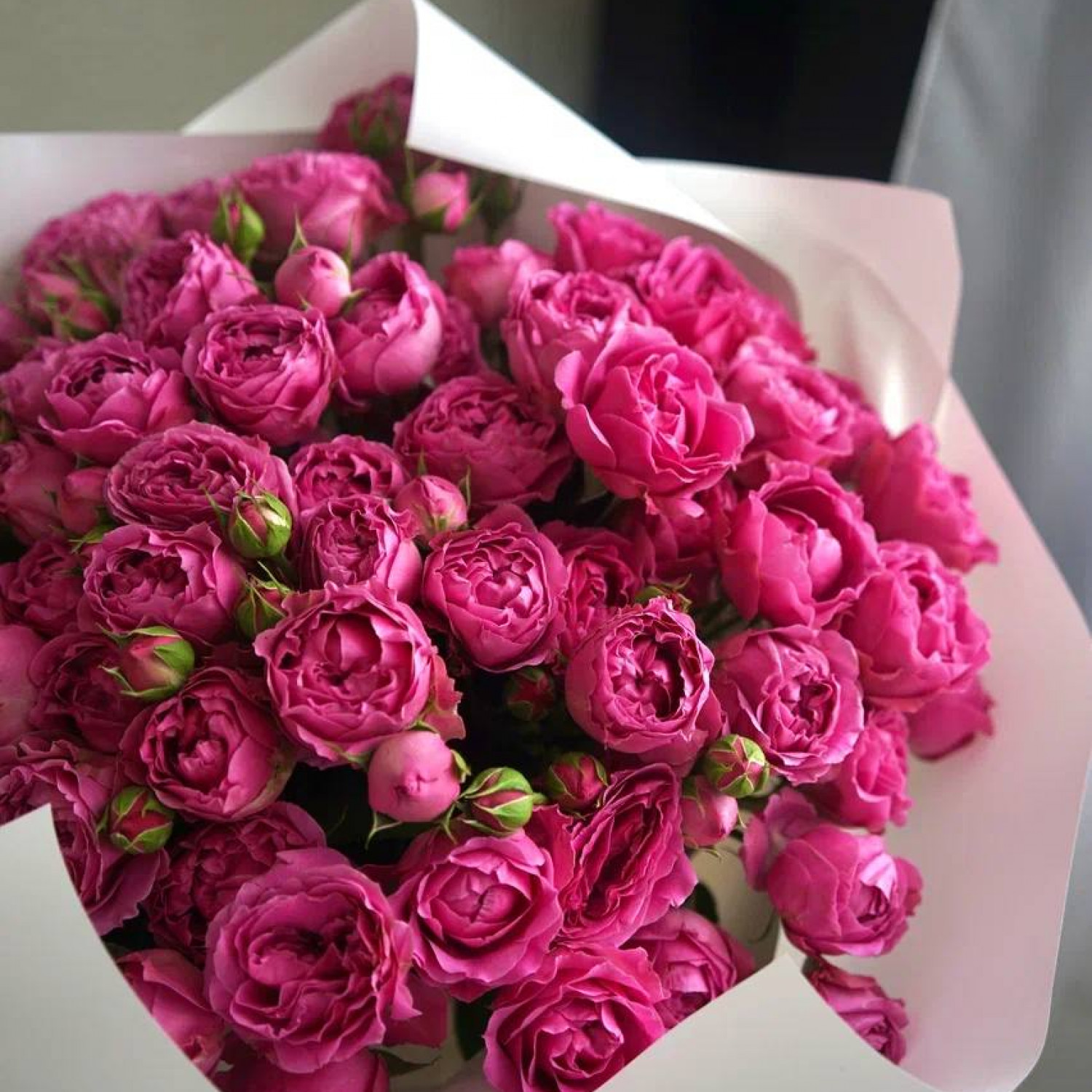 Букет из 15 кустовых пионовидных роз Мисти Баблс