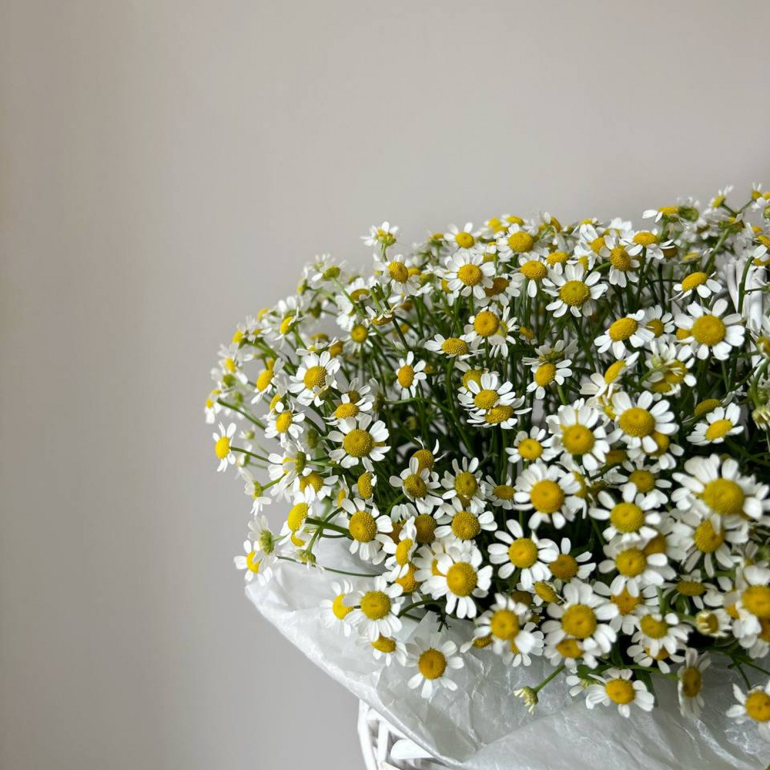 Корзина с ромашками