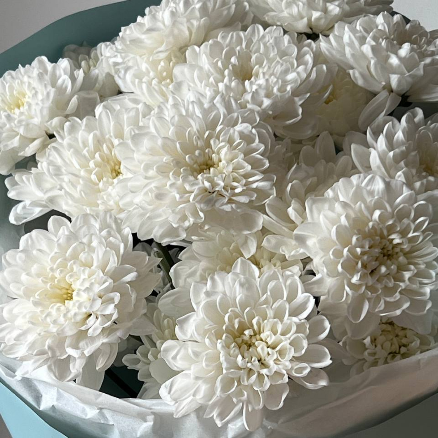 Монобукет из кустовой хризантемы Алтай