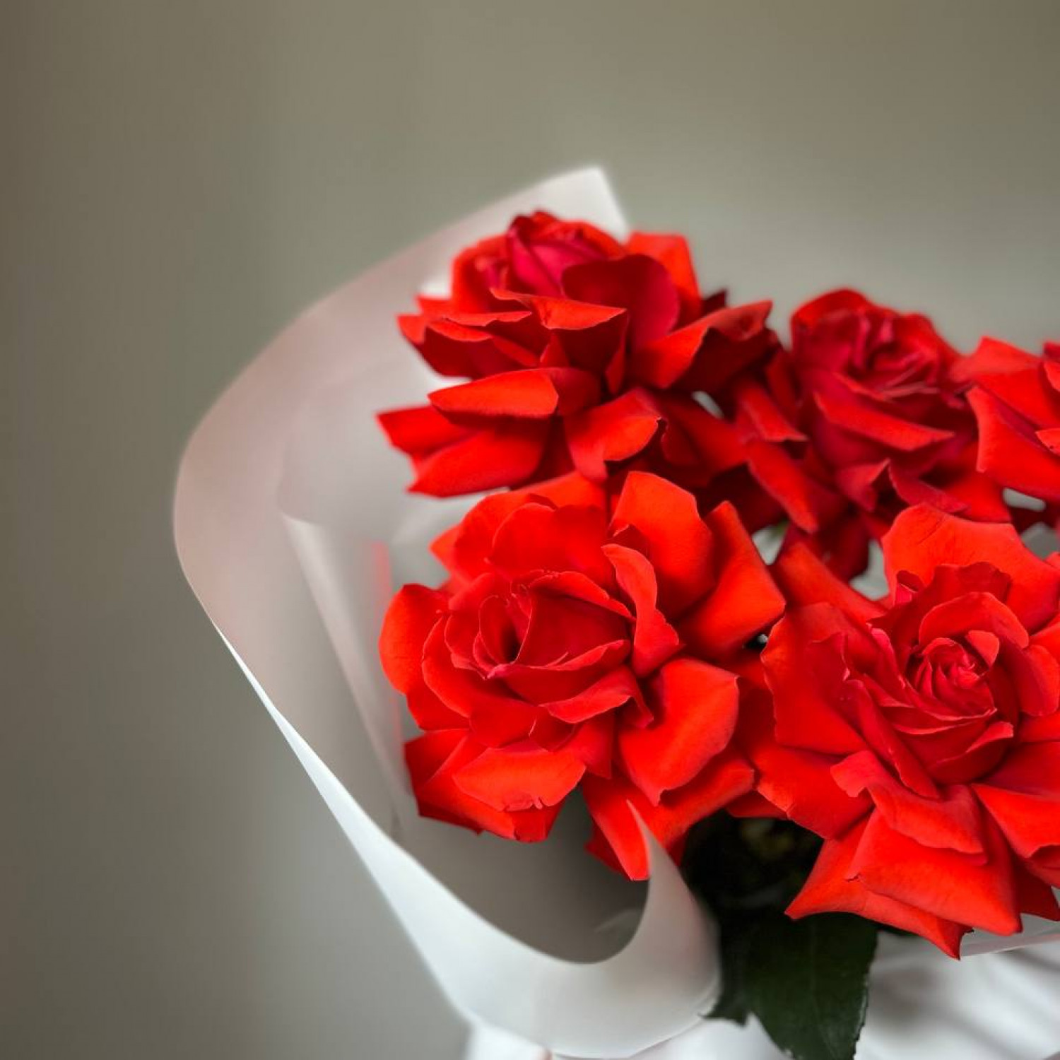 Монобукет из 5 красных французских роз №58