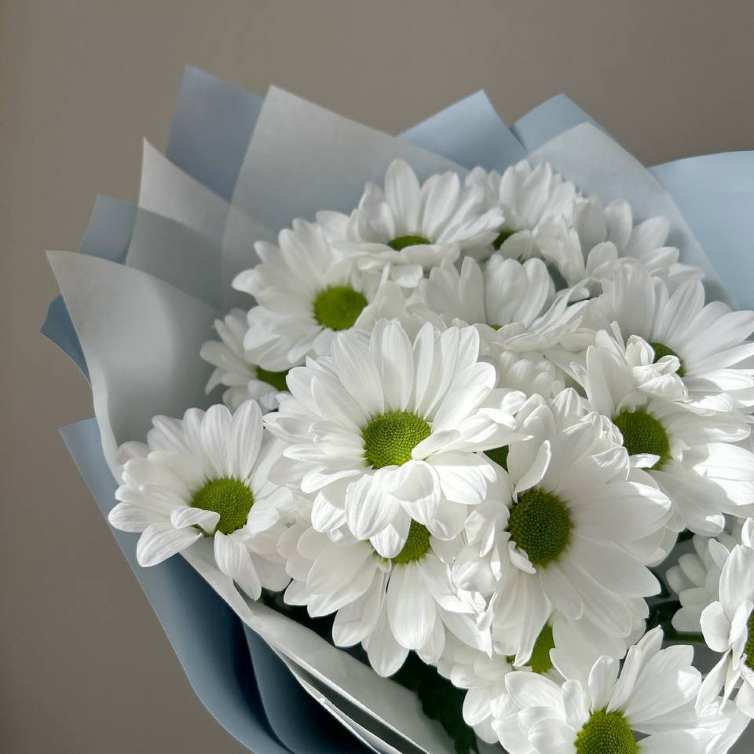 Монобукет из 3 ромашковых хризантем №57