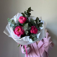 Монобукет из 3  пионов Корал Шарм №56