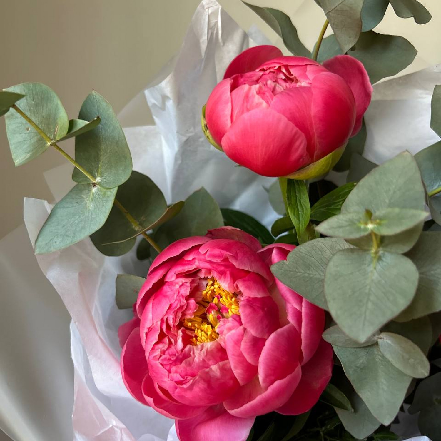 Монобукет из 3  пионов Корал Шарм №56