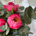 Монобукет из 5 пионов Корал Шарм с эвкалиптом №62