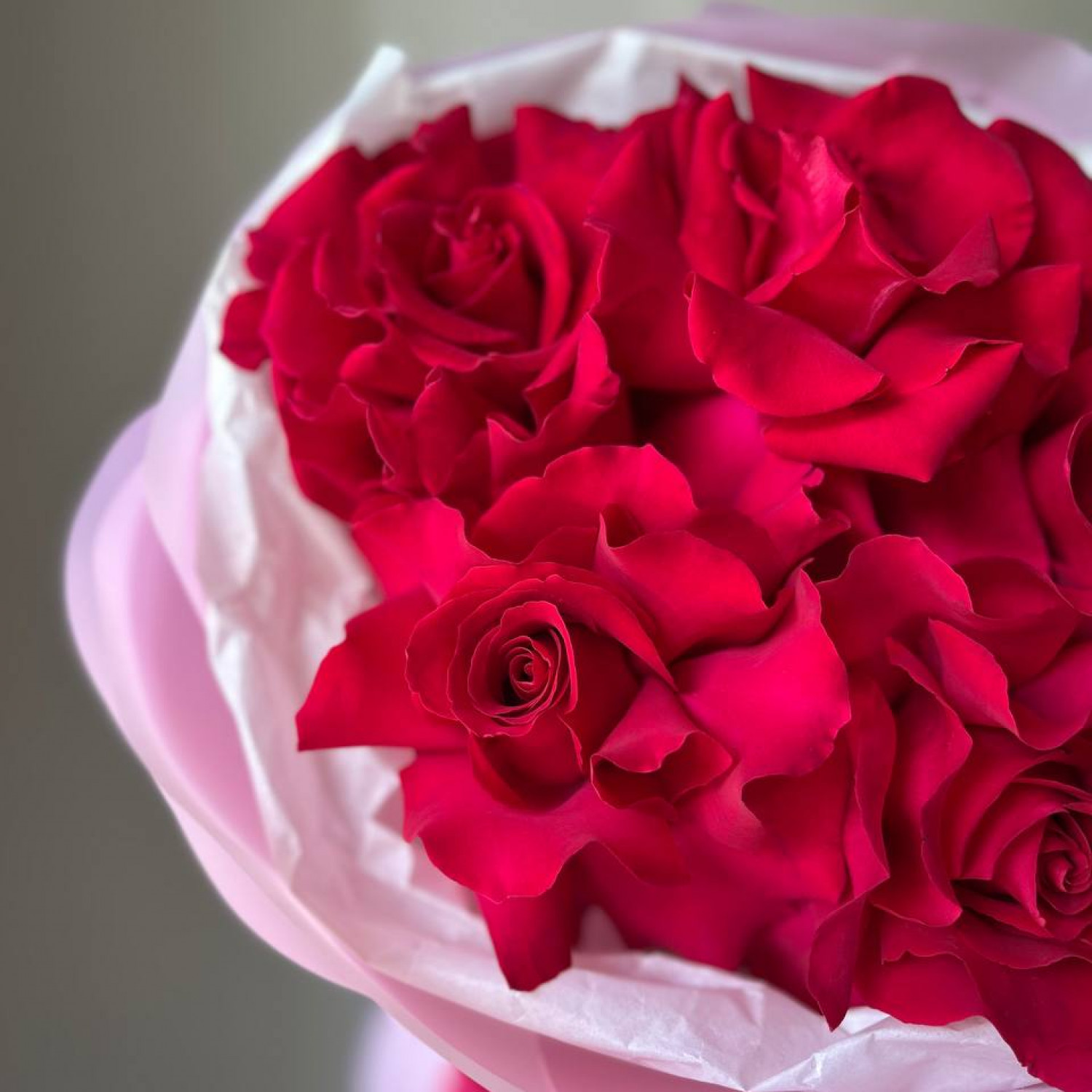 Монобукет из 5 малиновых Французских вывернутых роз