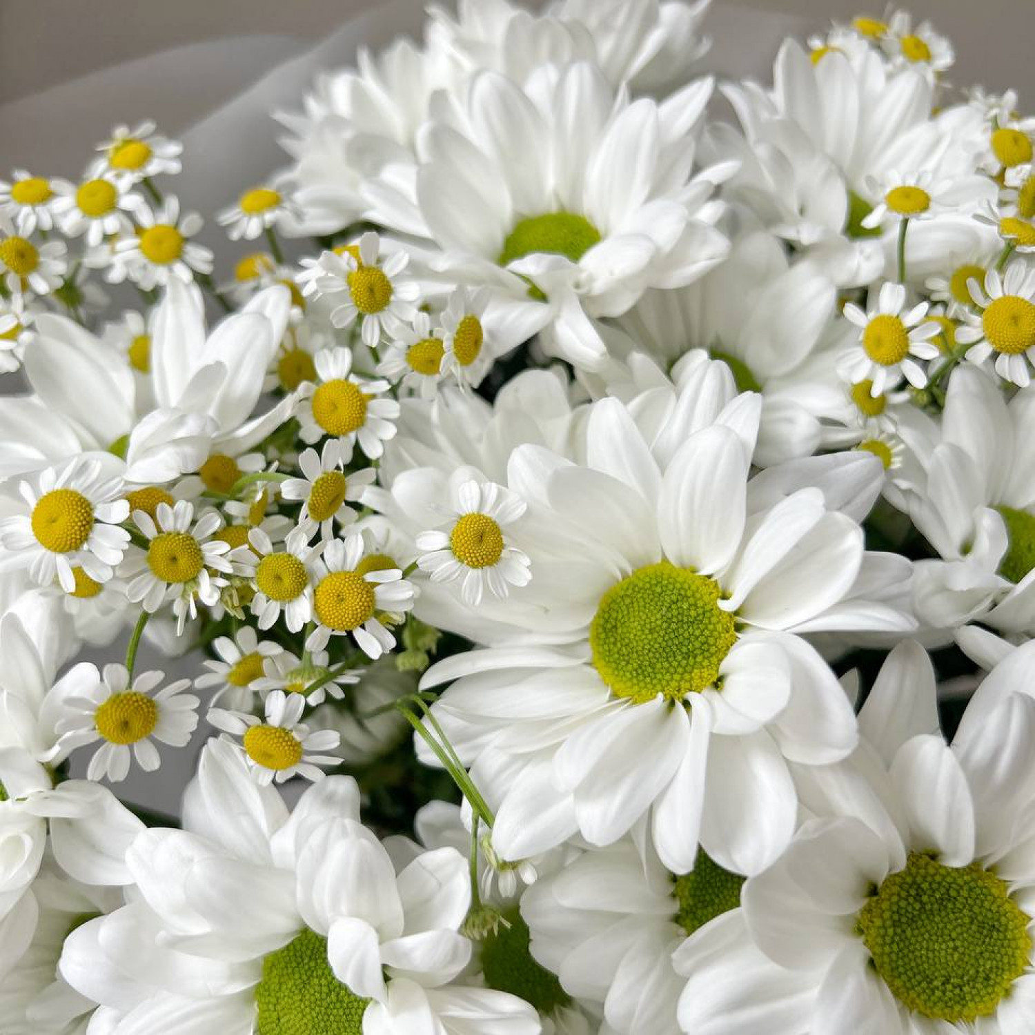 Летний букет из ромашковой хризантемы и ромашки №49