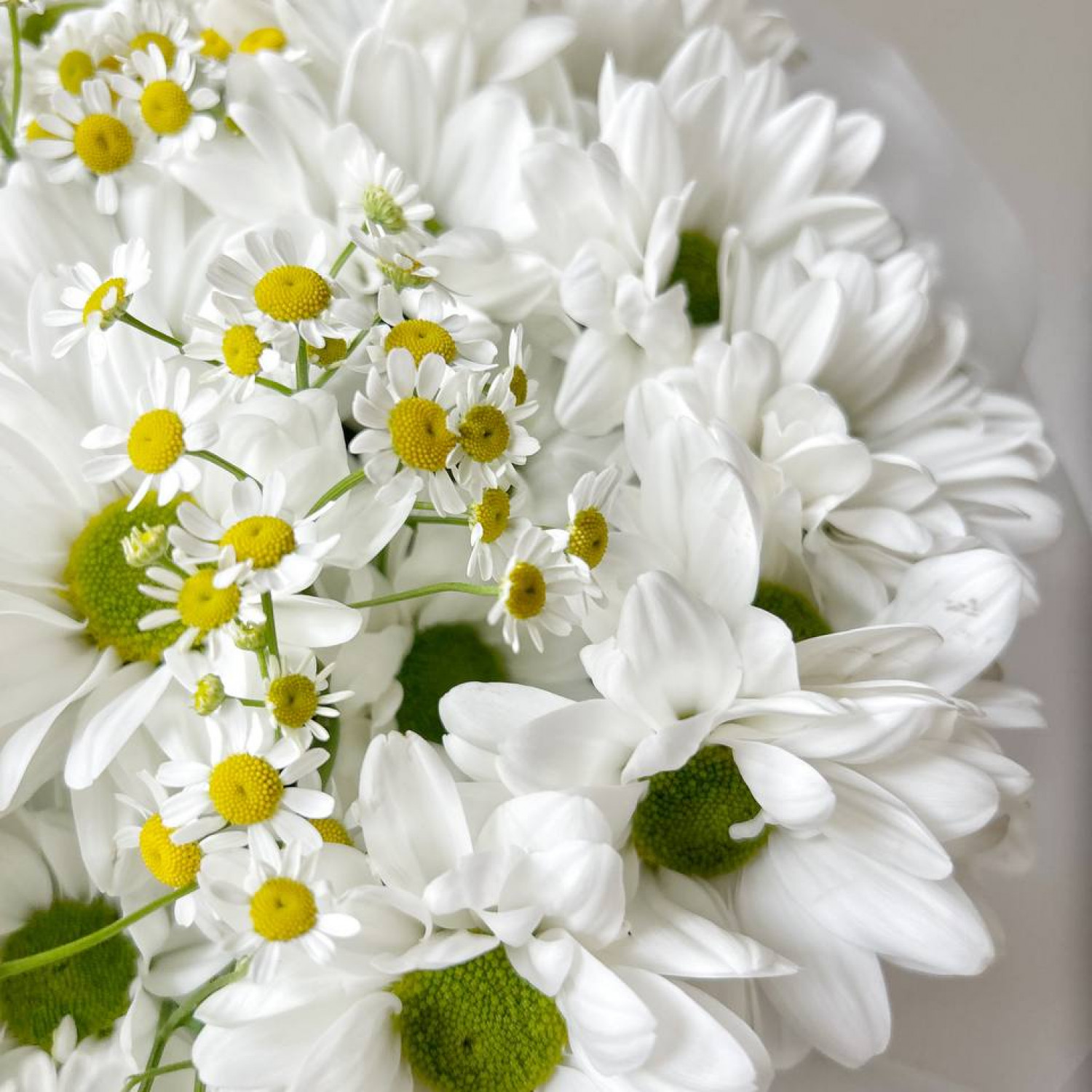 Летний букет из ромашковой хризантемы и ромашки №49