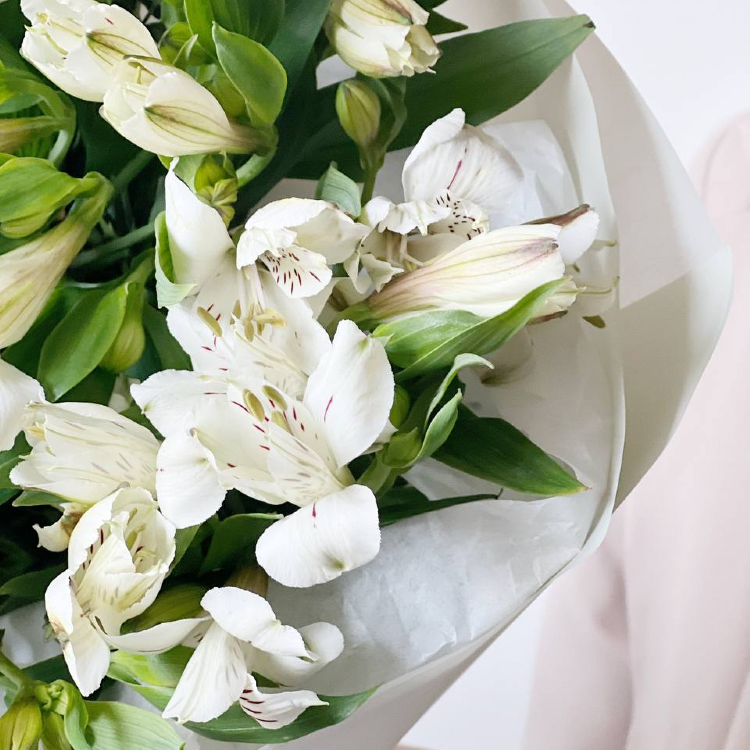 Монобукет из 11 белых Альстромерий