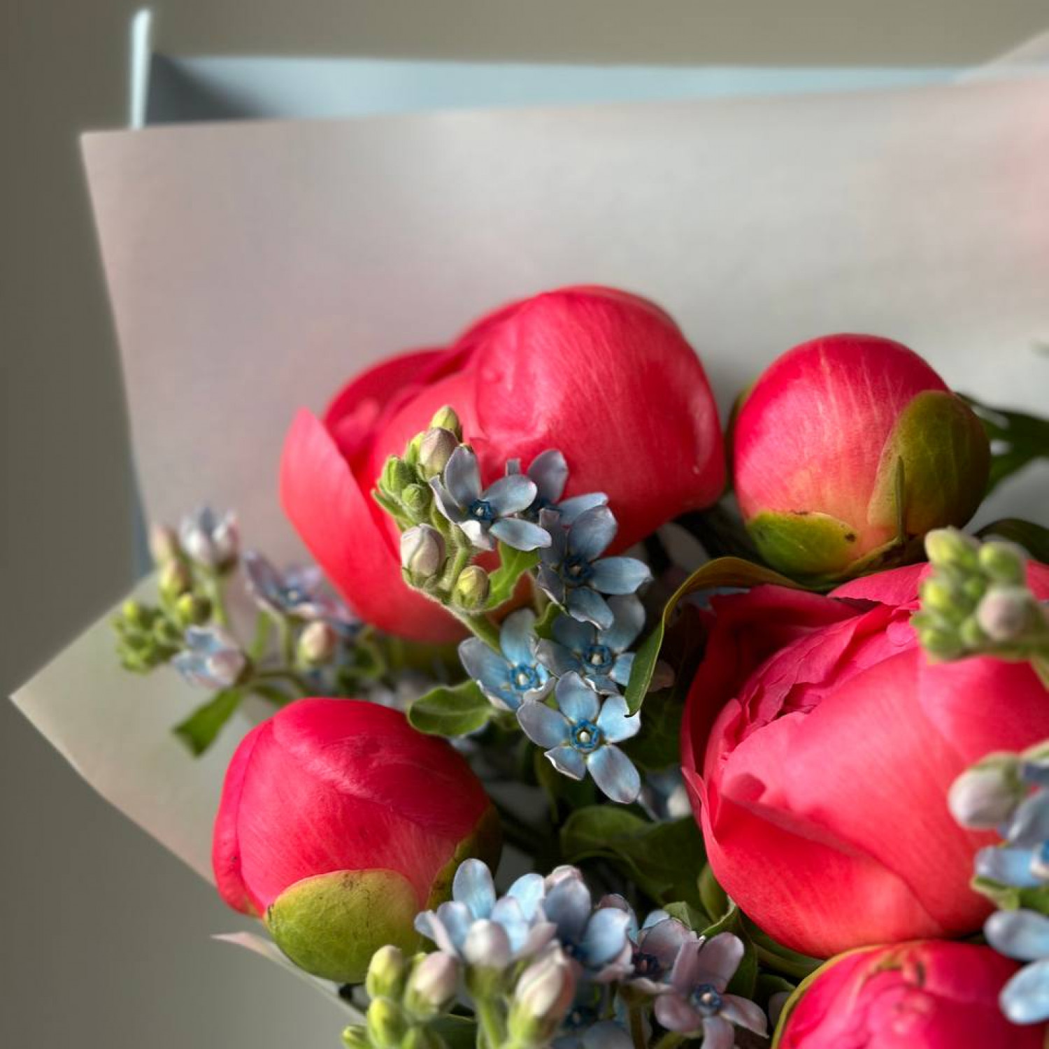 Букет из пионов Корал Шарм и незабудок