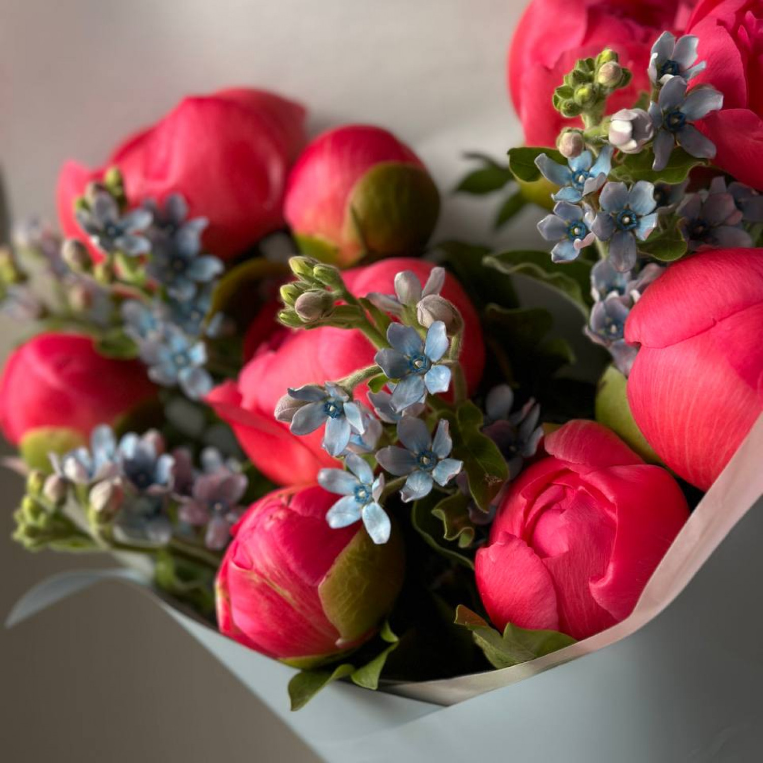 Букет из пионов Корал Шарм и незабудок