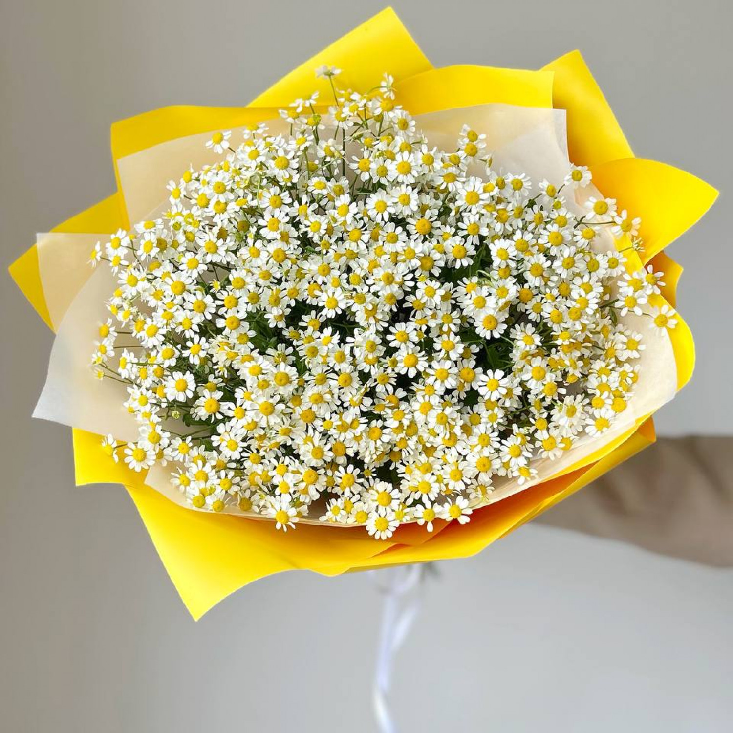 Монобукет из 15 кустовых ромашек № 41