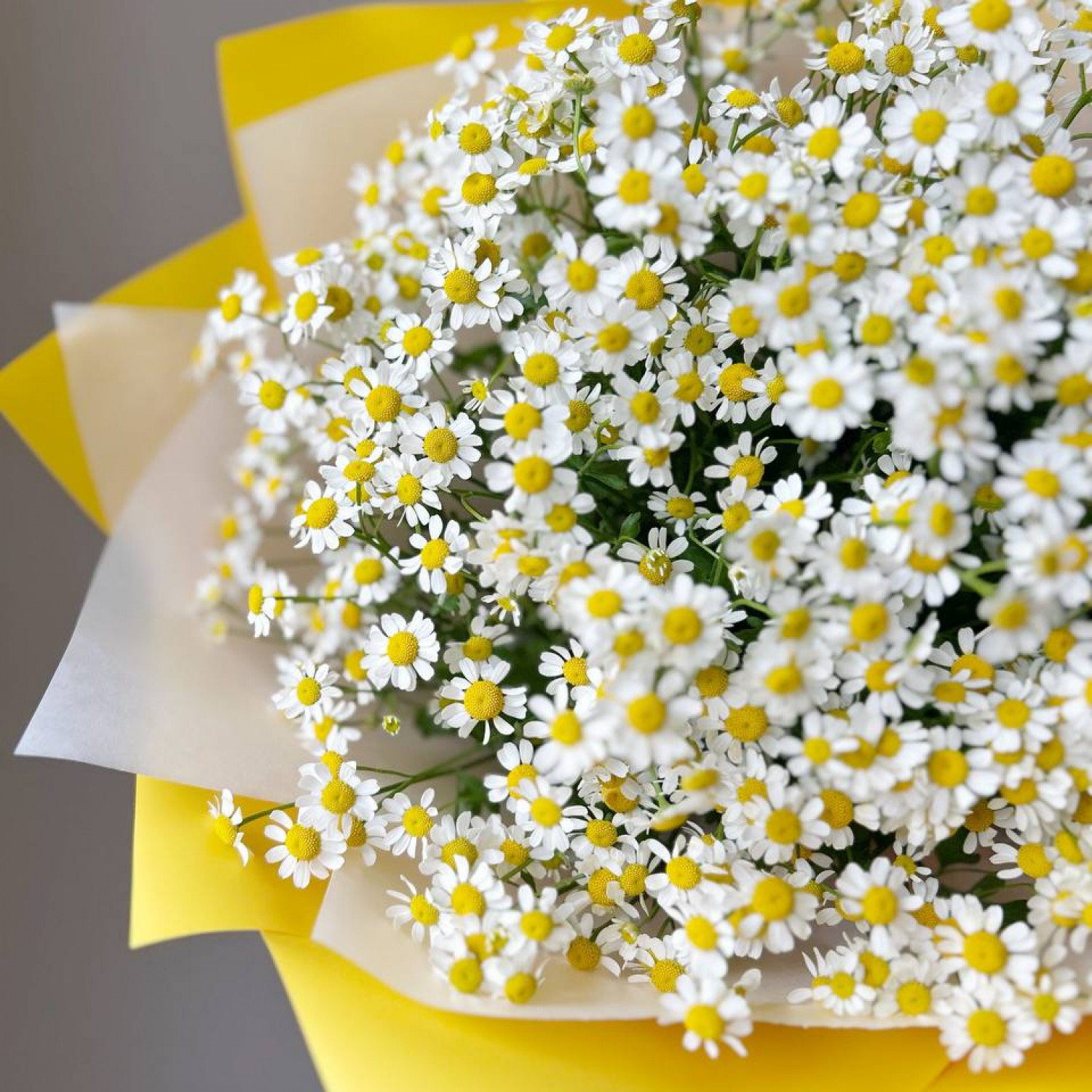 Монобукет из 15 кустовых ромашек № 41