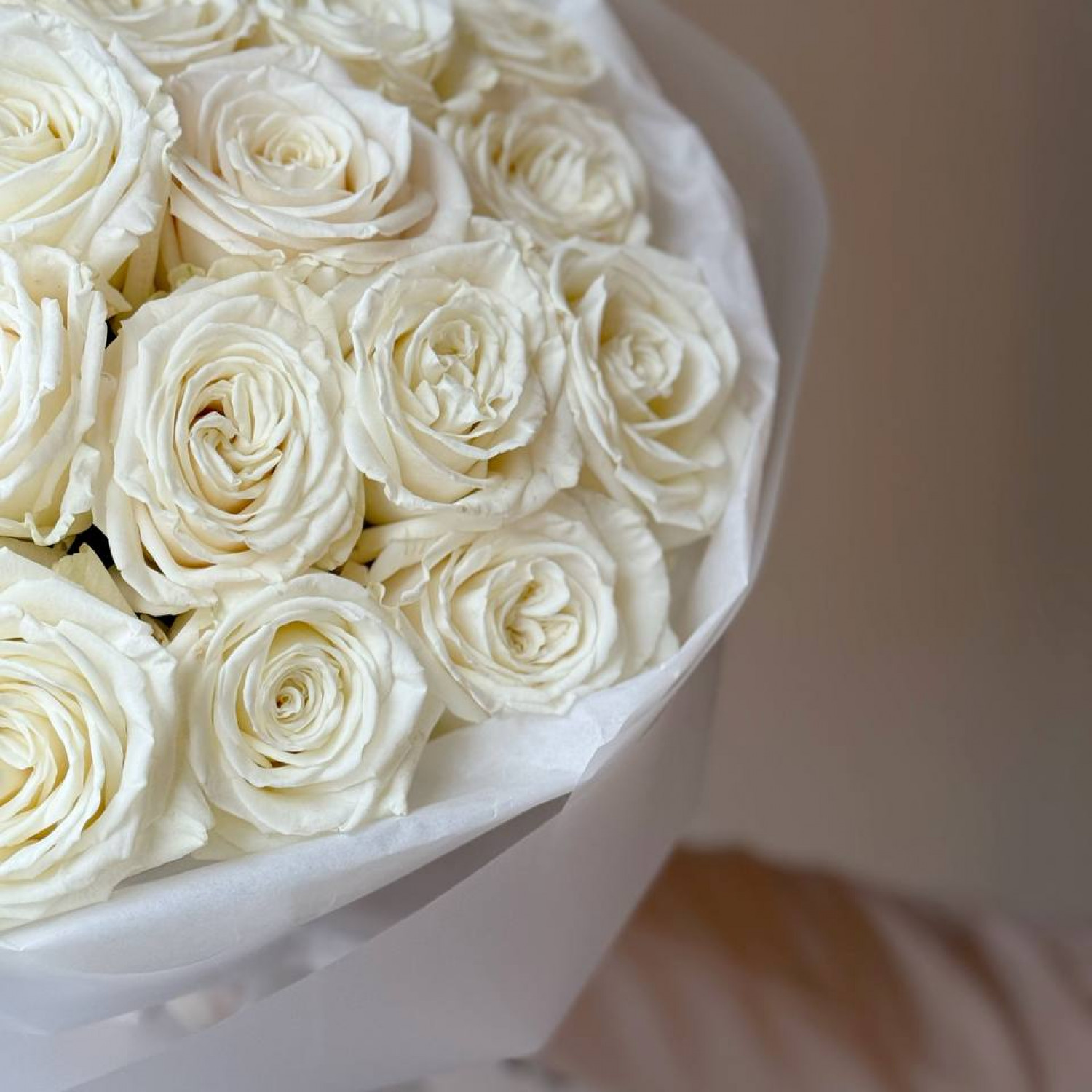 Шикарный букет из 21 белой пионовидной розы 008