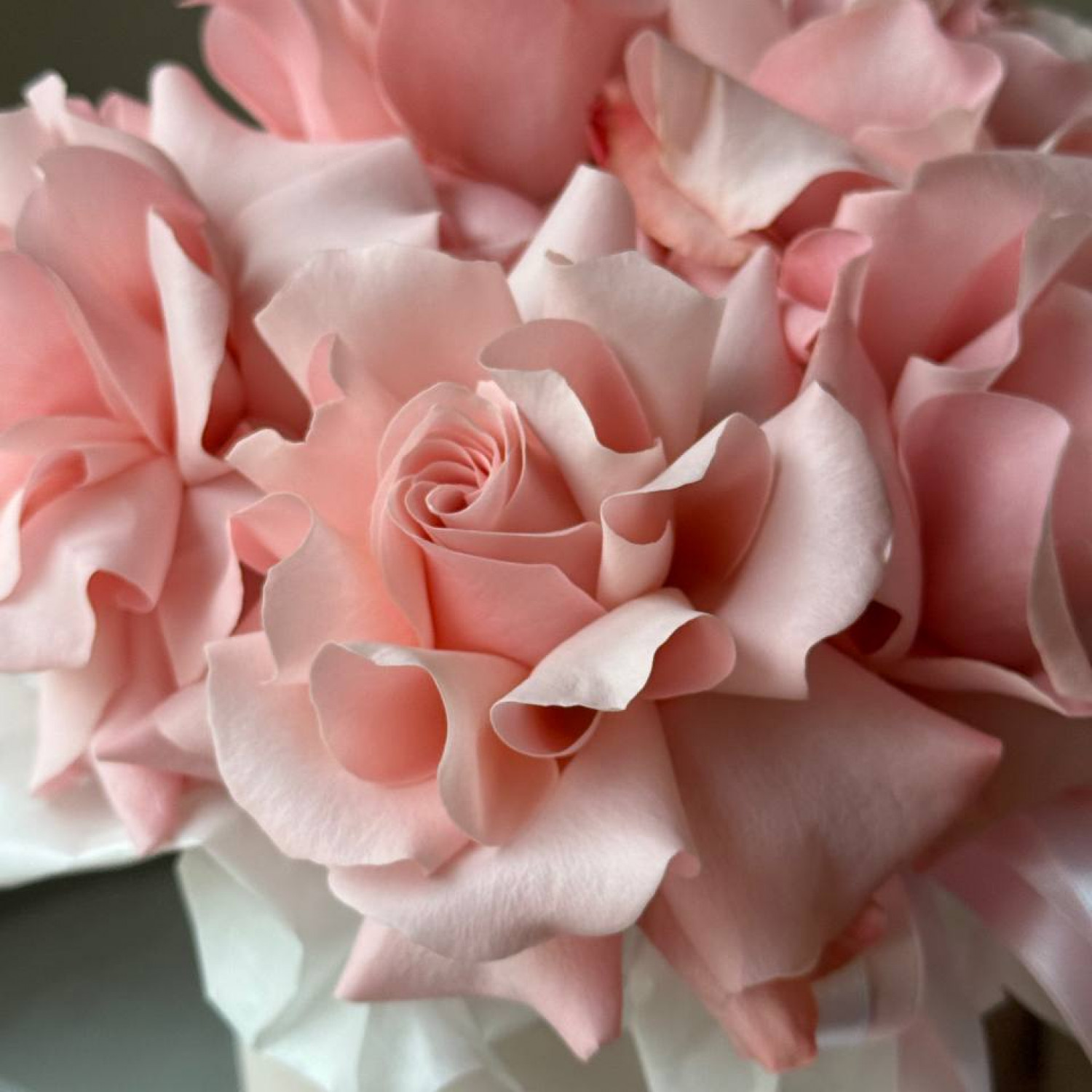 Коробка из 5 нежных французских роз 006