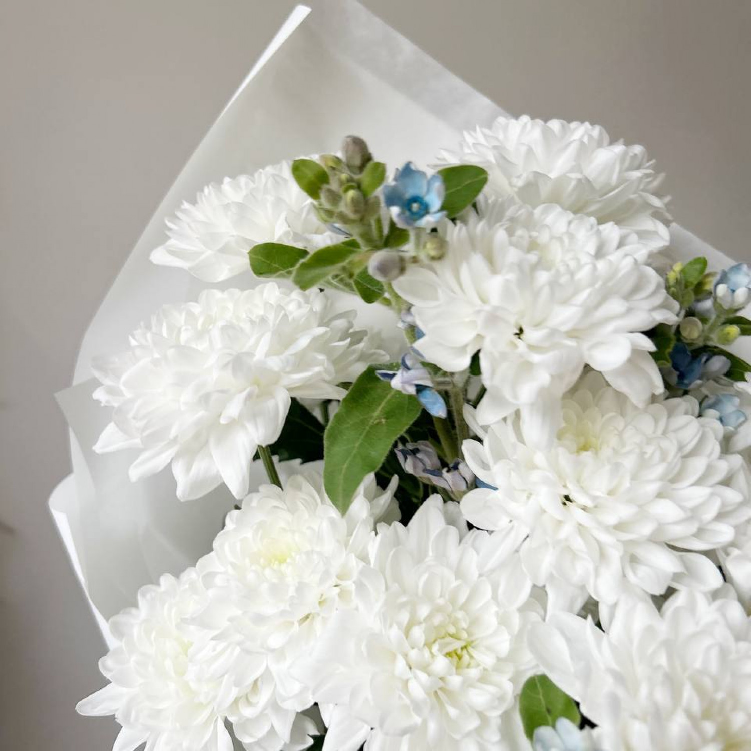 Нежный букет из кустовой хризантемы с незабудками №3