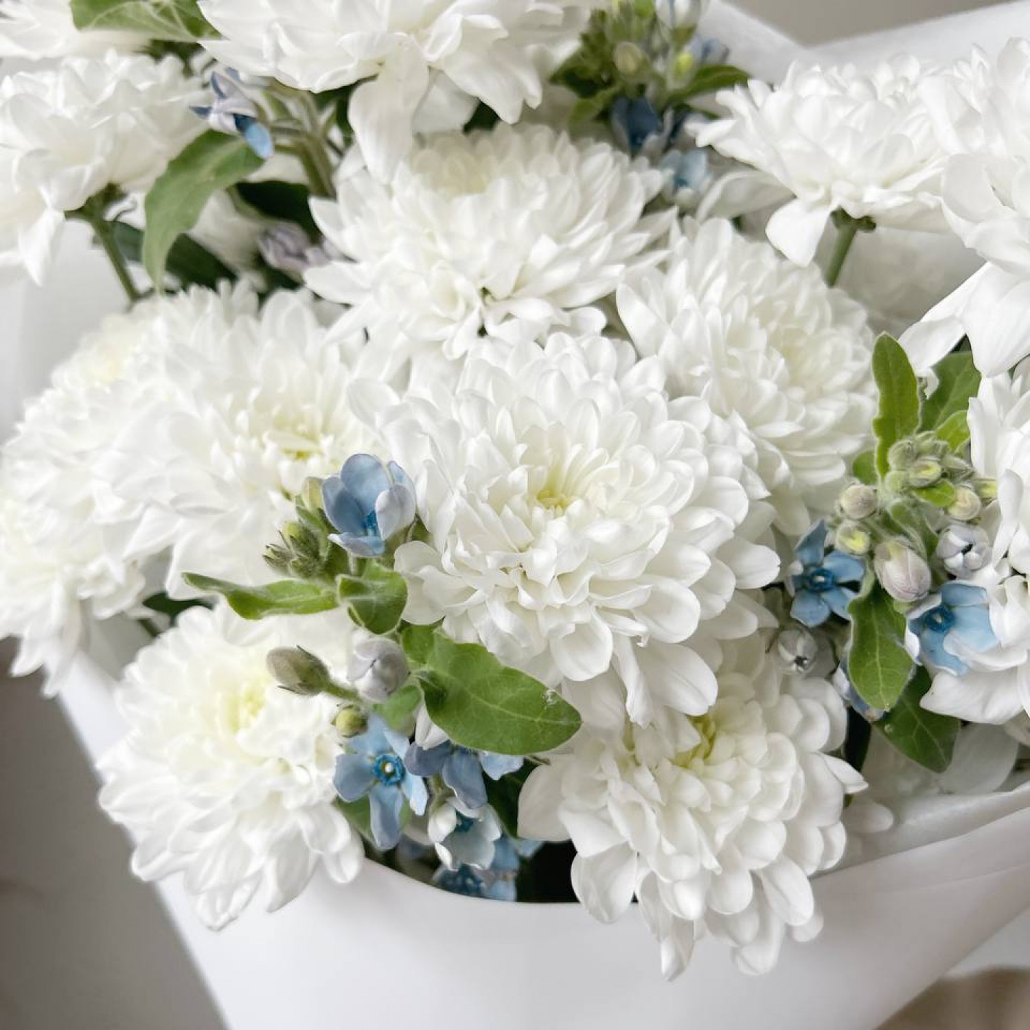 Нежный букет из кустовой хризантемы с незабудками №3