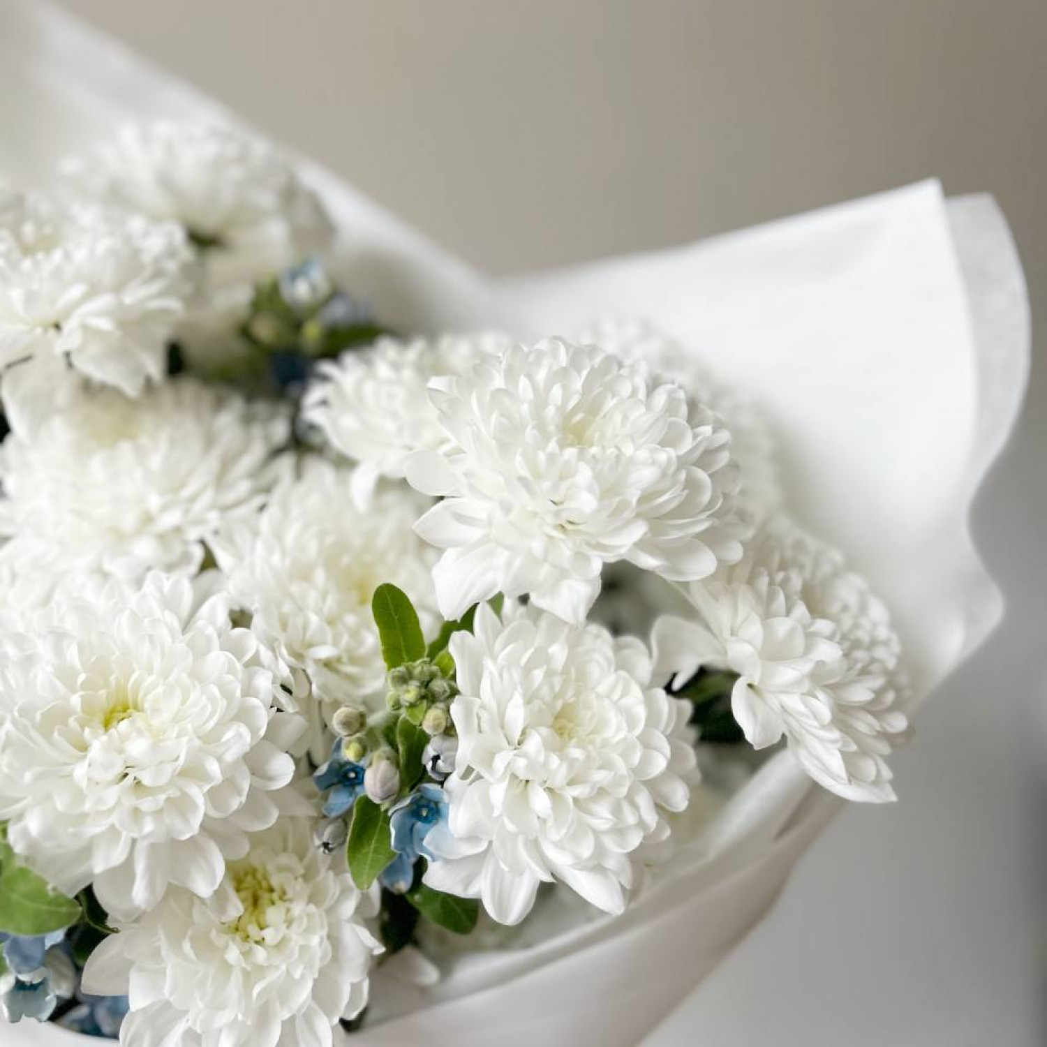 Нежный букет из кустовой хризантемы с незабудками №3