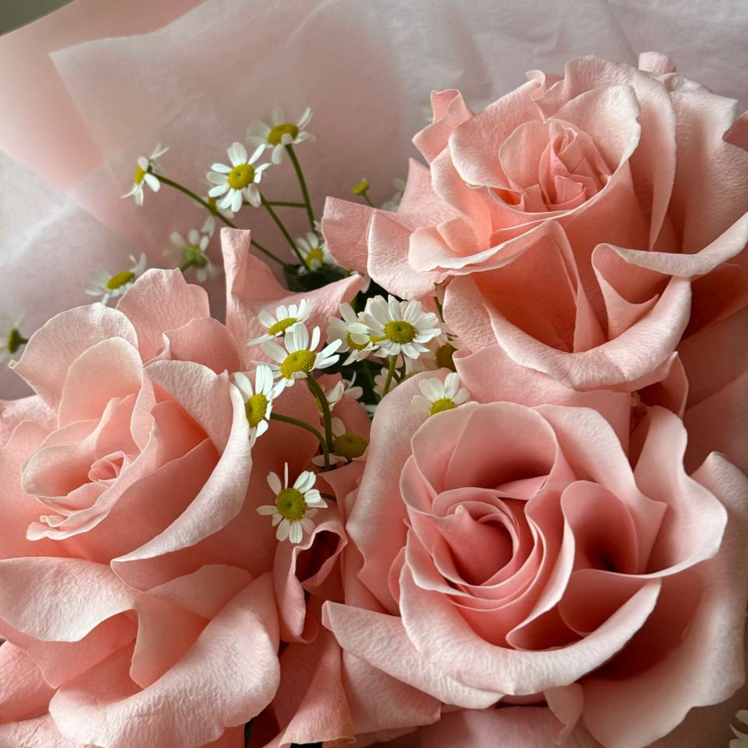 Букет из французских роз и ромашки №9