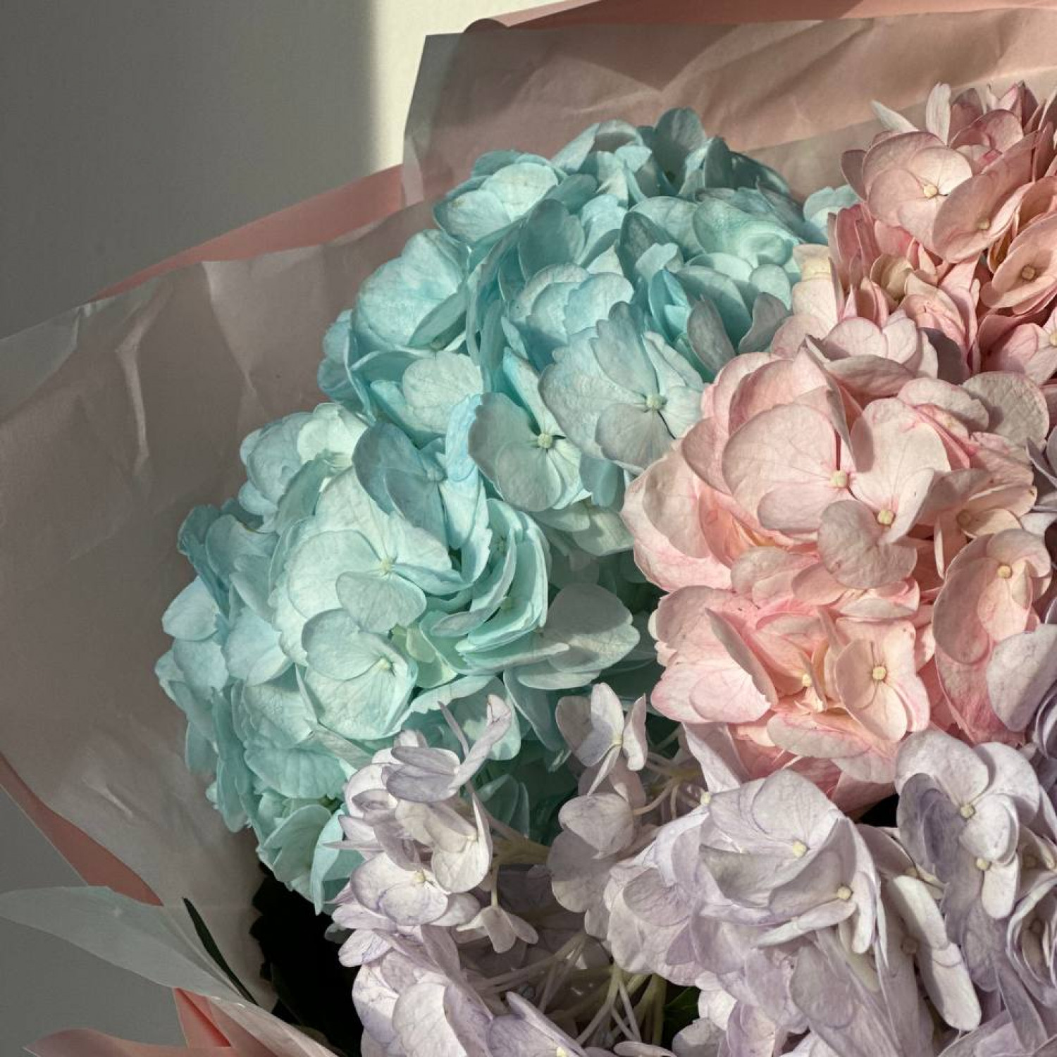 Монобукет из Гортензий микс