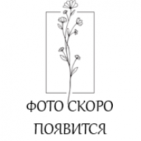 Свеча коническая конус 47 см  №17 охра